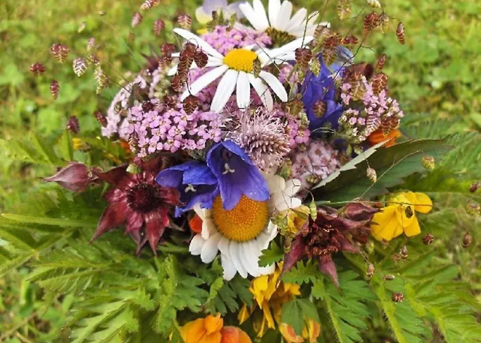 Amiel Eg Sued By Interhome 아파트 *