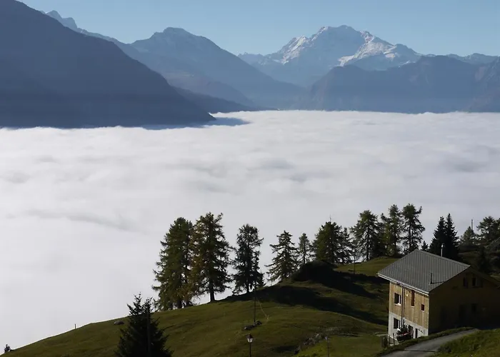 Amiel Eg Sued By Interhome *