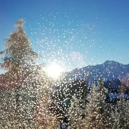 Amiel Eg Sued By Interhome Appartement Riederalp