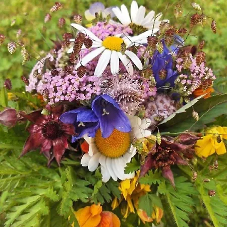 Amiel Eg Sued By Interhome Appartement *