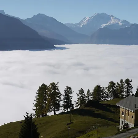 Amiel Eg Sued By Interhome *